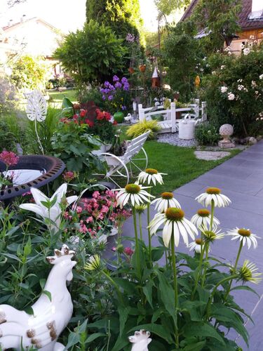 Schönstes Gartenfoto 2026 - Ingrid Krammel