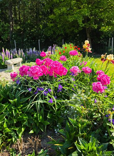 Schönstes Gartenfoto 2026 - Sandra Schander