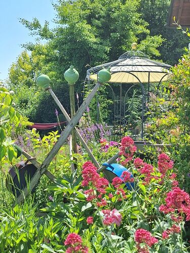 Schönstes Gartenfoto 2026 - Angelika Dräxler