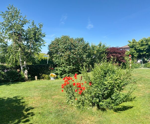 Schönstes Gartenfoto 2026 - Verena Butter