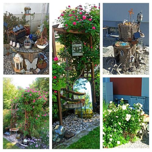 Schönstes Gartenfoto 2026 - Irmgard Riepl