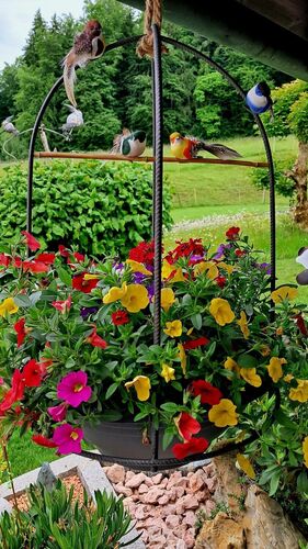 Schönstes Gartenfoto 2026 - Gerhard Raffelsberger