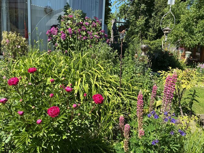 Schönstes Gartenfoto 2026 - Doris Kalchgruber