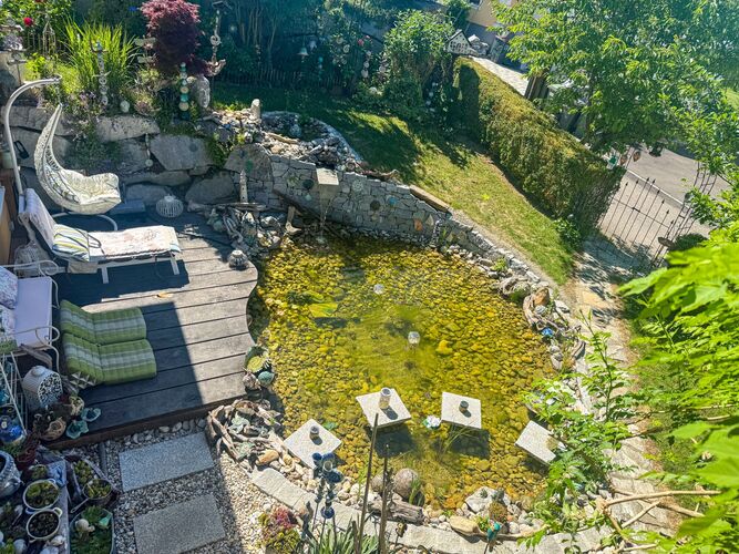Schönstes Gartenfoto 2026 - Daniela Wolschlager