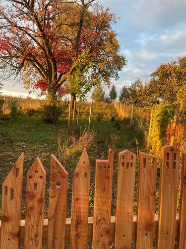 Schönstes Gartenfoto 2026 - Gerhard Huber