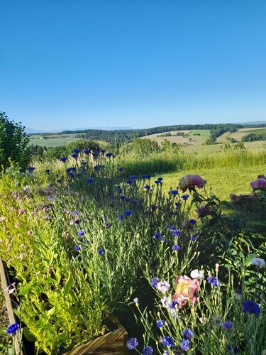 Schönstes Gartenfoto 2026 - Christina Übleis