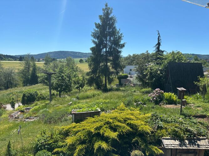 Schönstes Gartenfoto 2026 - Ingrid Söllinger