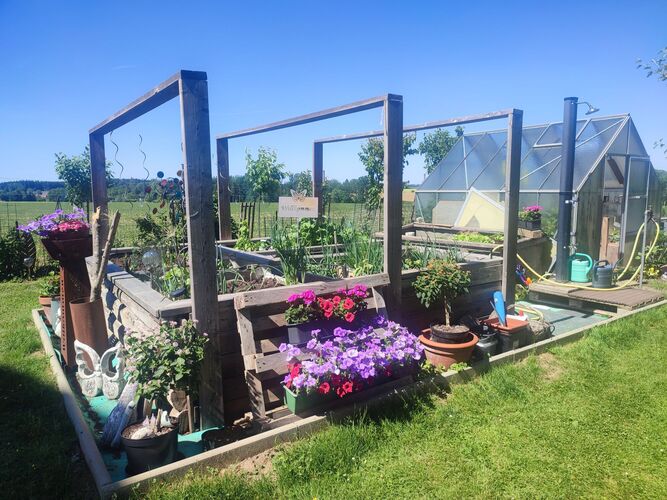 Schönstes Gartenfoto 2026 - Karin Schmalwieser