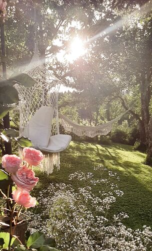 Schönstes Gartenfoto 2026 - Sandra steinbichler