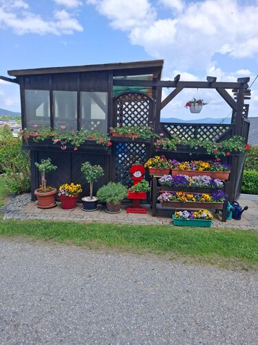 Schönstes Gartenfoto 2026 - Gertraud Hopfner
