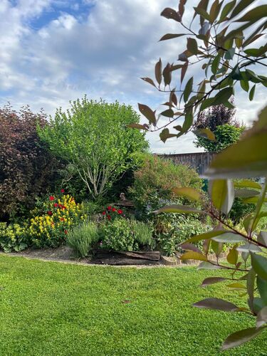 Schönstes Gartenfoto 2026 - Ralph Schmid