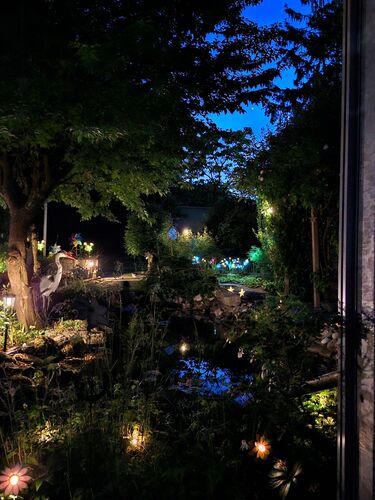 Schönstes Gartenfoto 2026 - Monika Grillhofer-Kumpfmüller