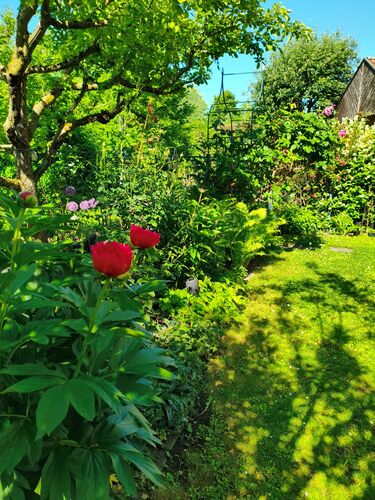 Schönstes Gartenfoto 2026 - Christabel Ettl