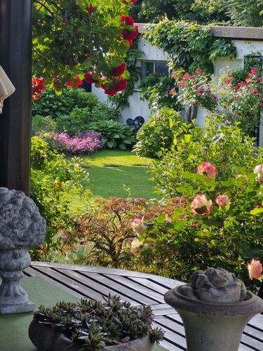 Schönstes Gartenfoto 2026 - Josefa Goder