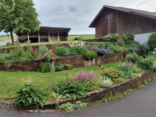 Schönstes Gartenfoto 2026 - Maria Thalhammer