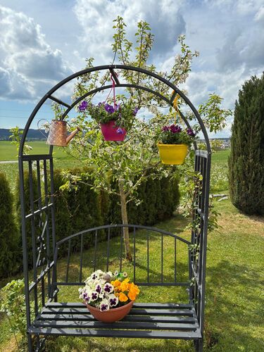 Schönstes Gartenfoto 2026 - Sandra Hammerschmied