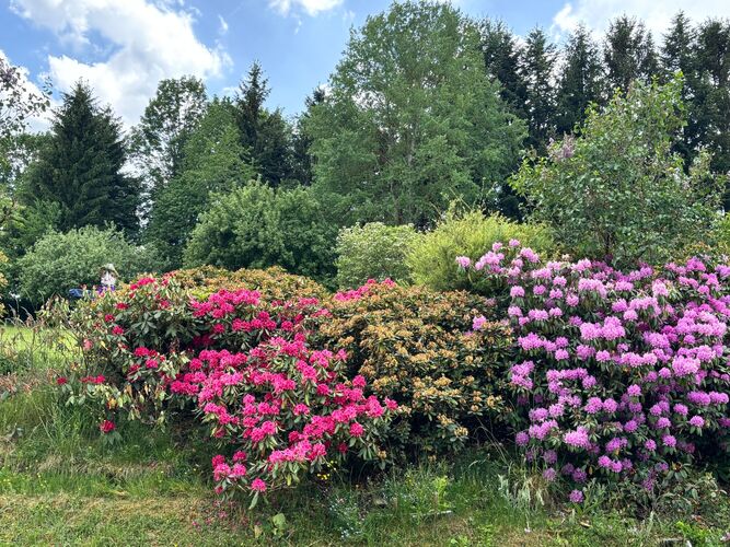 Schönstes Gartenfoto 2026 - Maria Sonnberger