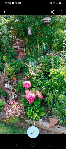 Schönstes Gartenfoto 2026 - SONJA ZWEIMÜLLER