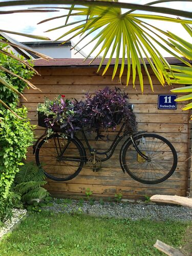 Schönstes Gartenfoto 2026 - Elisabeth Huber
