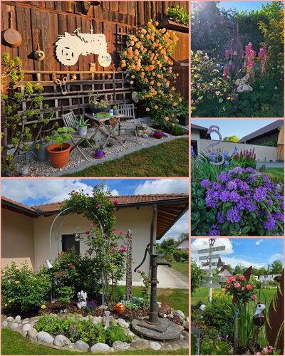 Schönstes Gartenfoto 2026 - Bianca Mair