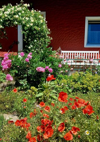Schönstes Gartenfoto 2026 - Sabine Enser-Laaber