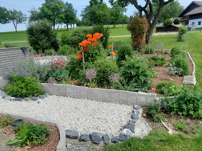 Schönstes Gartenfoto 2026 - Harald Putz
