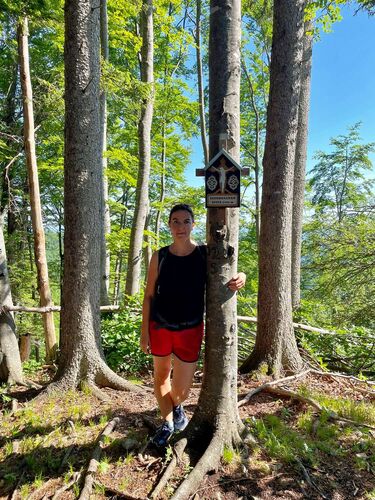 Tips Gipfelstürmer - Silke - Zederbauerspitz (1075m)