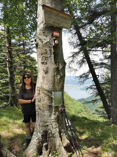 Tips Gipfelstürmer - Elisabeth - Freundschaftshöhe (1020m)