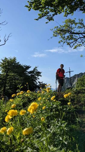 Tips Gipfelstürmer - Christine - Rauer Kaibling (1381m)