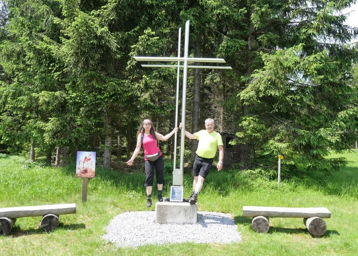 Tips Gipfelstürmer - Heidi - Viehberg (1121m)