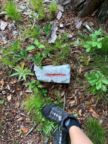 Tips Gipfelstürmer - Pauline  - Sulzeck (654m)