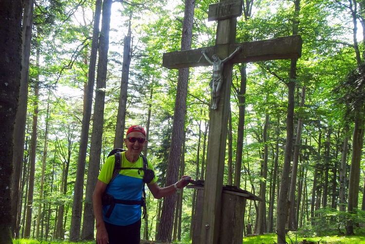 Tips Gipfelstürmer - Franz - Dreiecksberg (876m)