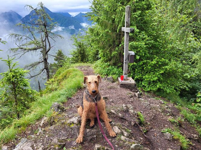 Tips Gipfelstürmer - Benito - Hörlang (Zuckerhut) (902m)