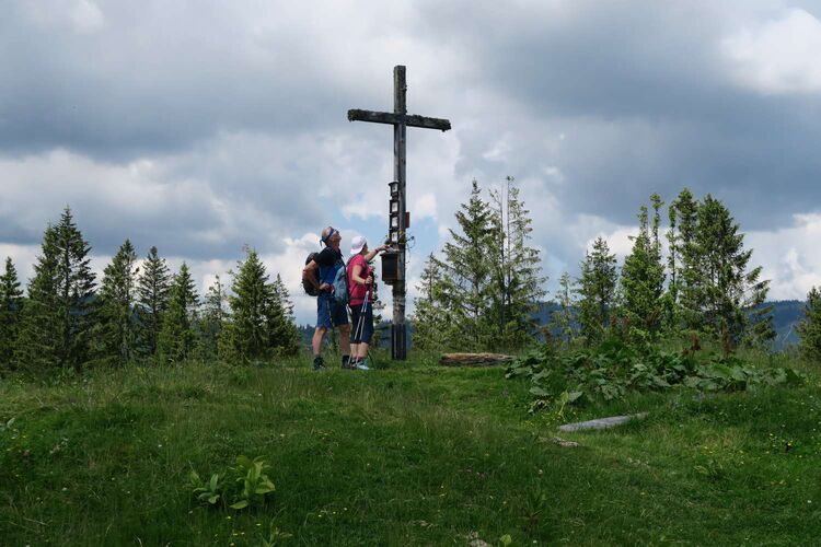 Tips Gipfelstürmer - Andreas - Breitenberg (1260m)