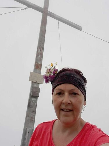 Tips Gipfelstürmer - Ingrid - Zwillingskogel in Grünau (1402 m)