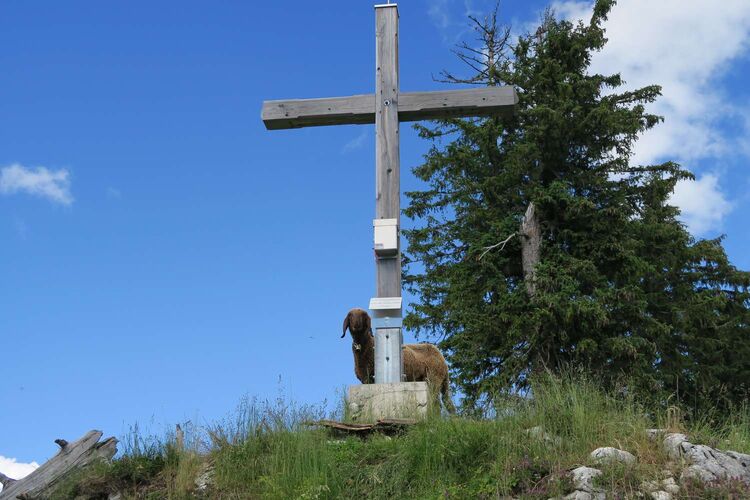 Tips Gipfelstürmer - Andreas - Hoher Raschberg (1487)