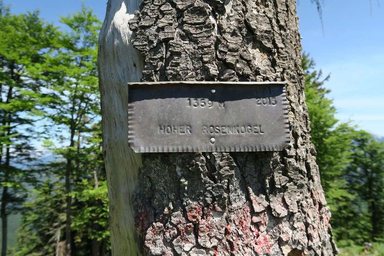 Tips Gipfelstürmer - Andreas - Hoher oder Hinterer Rosenkogel (1359)