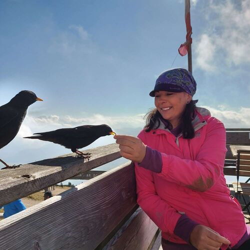 Tips Gipfelstürmer - Christina - Schafberg (1782m)