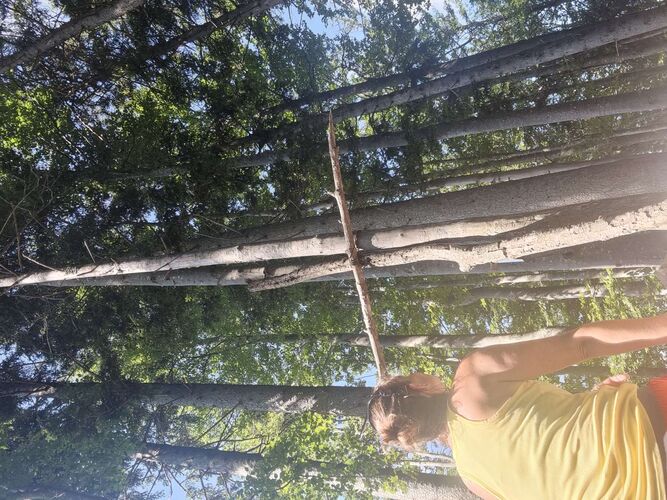 Tips Gipfelstürmer - Sandra - Zederbauerspitz (1075m)