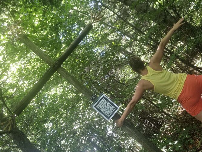 Tips Gipfelstürmer - Sandra - Ochsenkogel (936m)