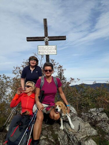 Tips Gipfelstürmer - Susanne - Hochsalm (1405m)