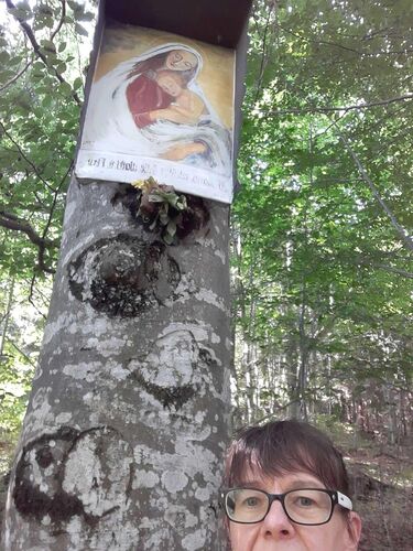 Tips Gipfelstürmer - Margit - Pröller (729m)