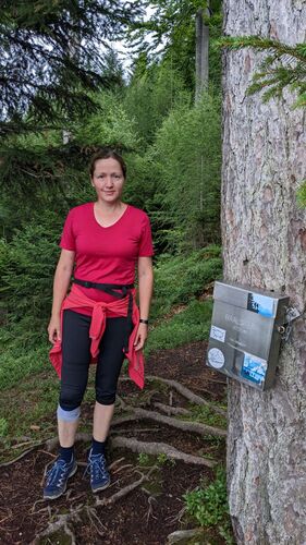 Tips Gipfelstürmer - Birgit - Baalstein (800m)