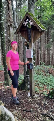 Tips Gipfelstürmer - Ingrid - Kruckenbrettl (1020m)