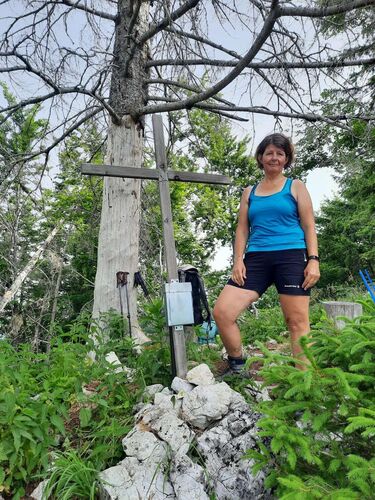 Tips Gipfelstürmer - Ingrid - Scharnsteiner Spitze (1133m)