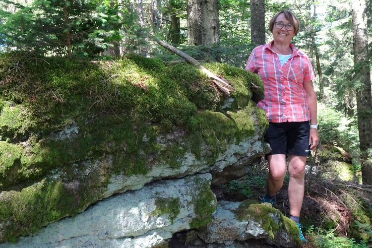 Tips Gipfelstürmer - Christiana - Windhagmühlberg (1010m)