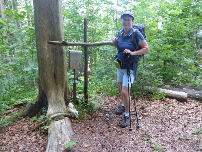 Tips Gipfelstürmer - Renate - Sonnkogel (1177m)