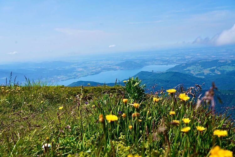 Tips Gipfelstürmer - Katrin - Brunnkogel (1708m)