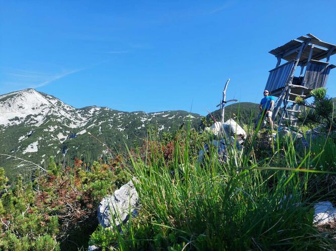 Tips Gipfelstürmer - Patrick - Schneekogel (1403m)