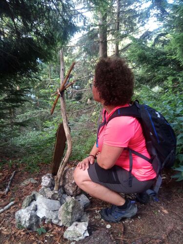 Tips Gipfelstürmer - Angela - Fahrnaugupf (1239m)